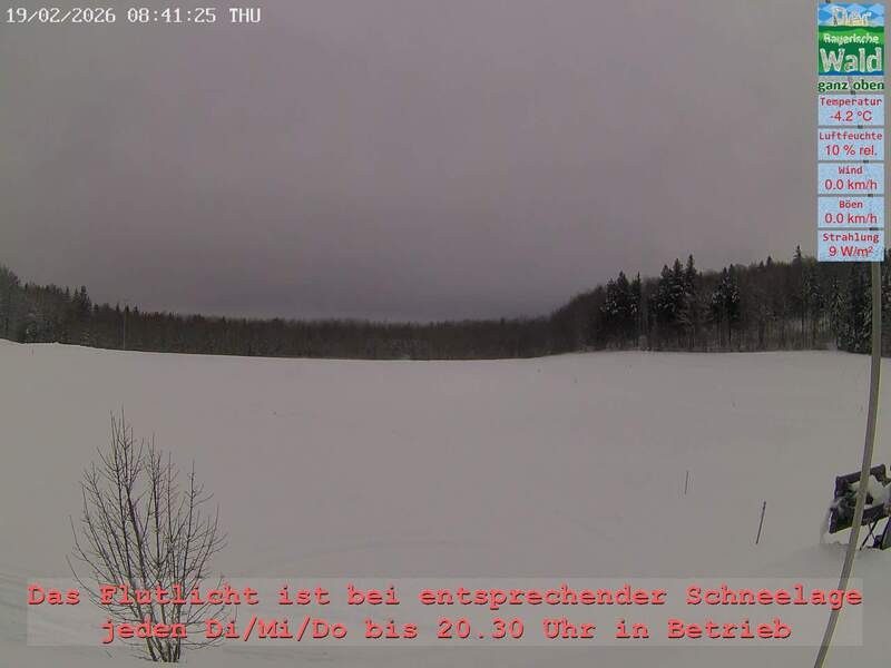 Archiv Foto Webcam Naturpark Oberer Bayerischer Wald - Infopunkt Althütte