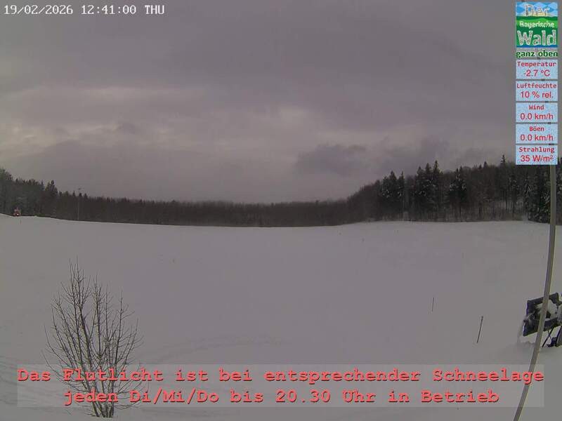 Archiv Foto Webcam Naturpark Oberer Bayerischer Wald - Infopunkt Althütte