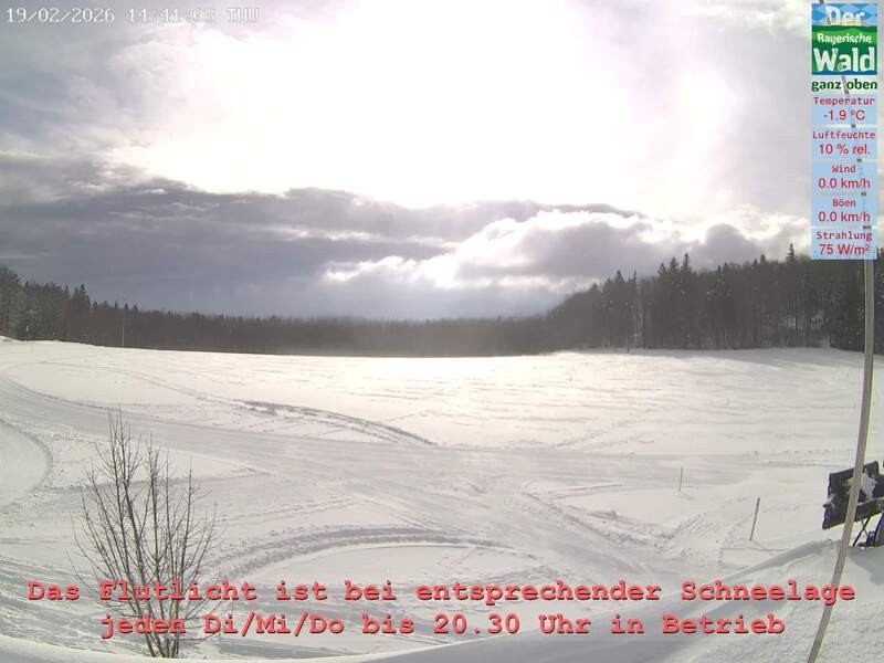 Archiv Foto Webcam Naturpark Oberer Bayerischer Wald - Infopunkt Althütte