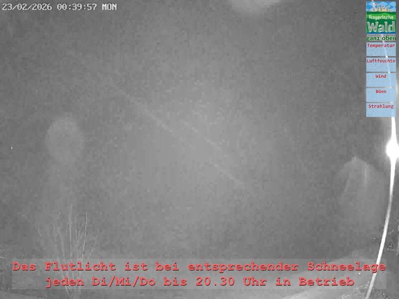 Archiv Foto Webcam Naturpark Oberer Bayerischer Wald - Infopunkt Althütte