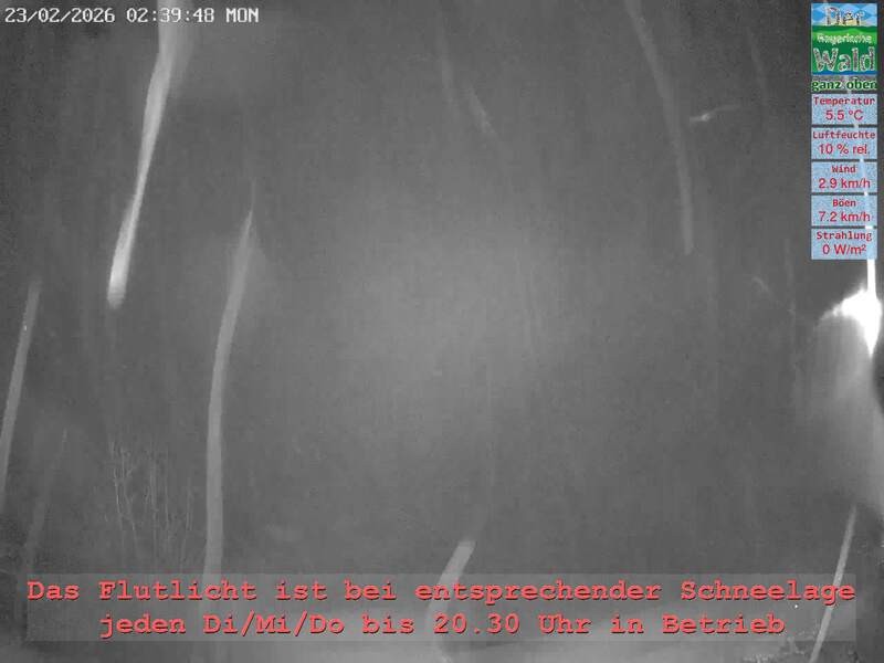 Archiv Foto Webcam Naturpark Oberer Bayerischer Wald - Infopunkt Althütte