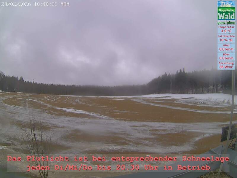 Archiv Foto Webcam Naturpark Oberer Bayerischer Wald - Infopunkt Althütte