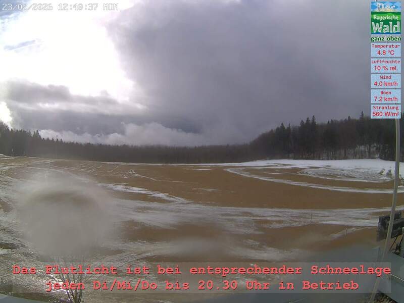 Archiv Foto Webcam Naturpark Oberer Bayerischer Wald - Infopunkt Althütte