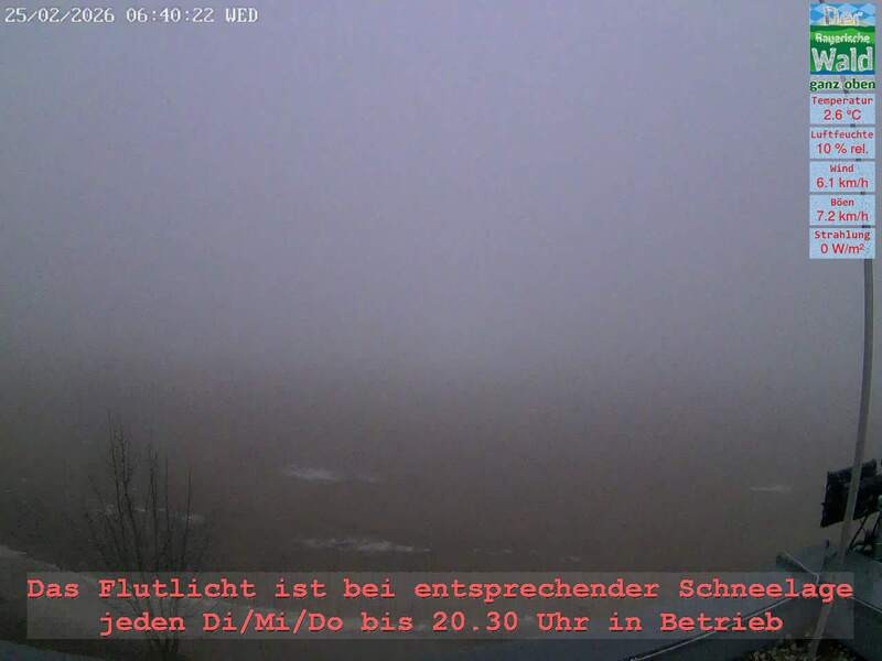 Archiv Foto Webcam Naturpark Oberer Bayerischer Wald - Infopunkt Althütte
