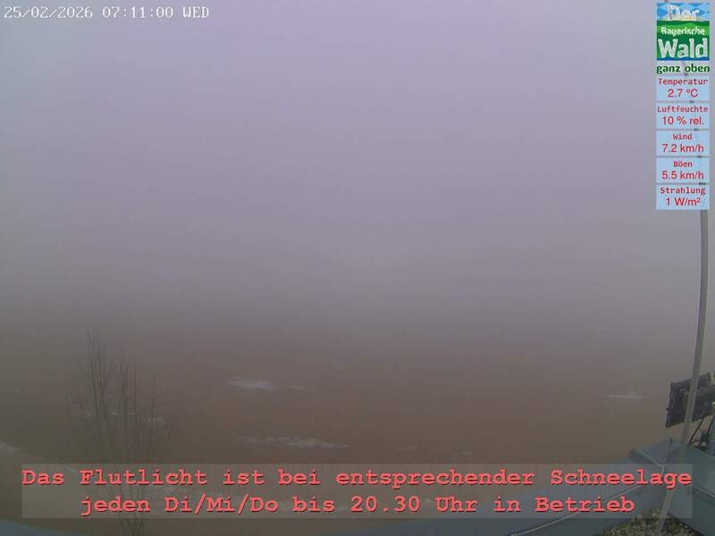 Archiv Foto Webcam Naturpark Oberer Bayerischer Wald - Infopunkt Althütte