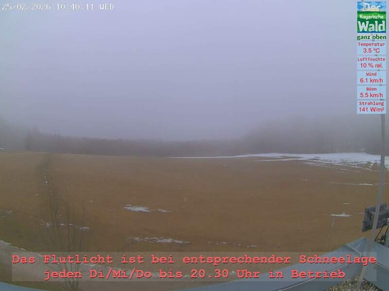 Archiv Foto Webcam Naturpark Oberer Bayerischer Wald - Infopunkt Althütte