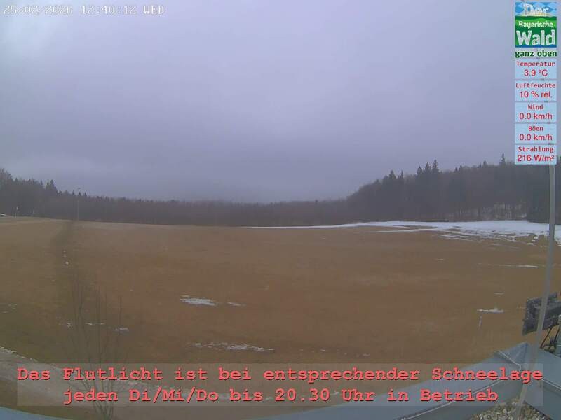 Archiv Foto Webcam Naturpark Oberer Bayerischer Wald - Infopunkt Althütte