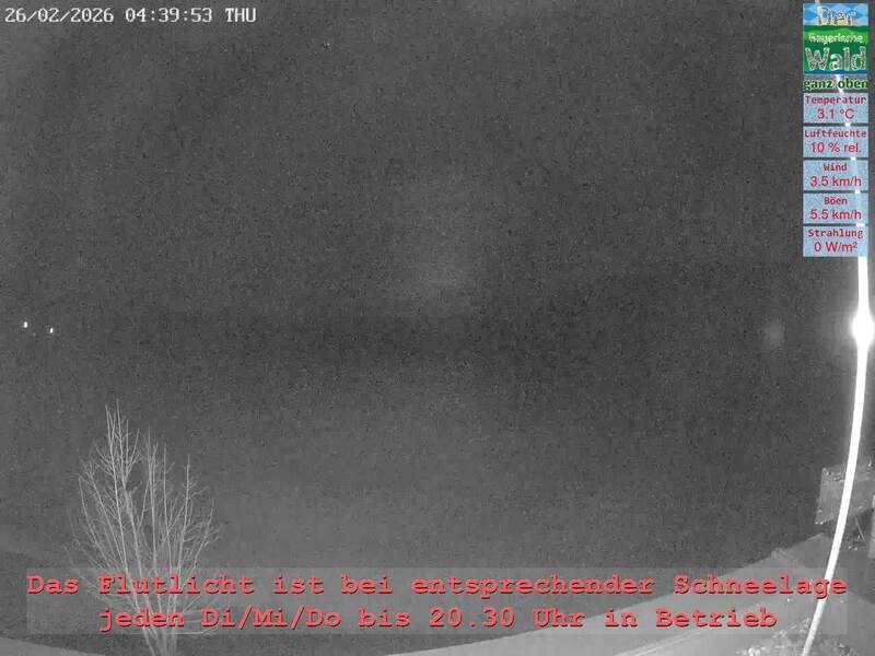 Archiv Foto Webcam Naturpark Oberer Bayerischer Wald - Infopunkt Althütte