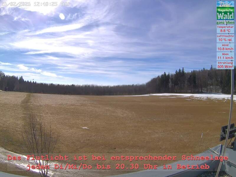 Archiv Foto Webcam Naturpark Oberer Bayerischer Wald - Infopunkt Althütte