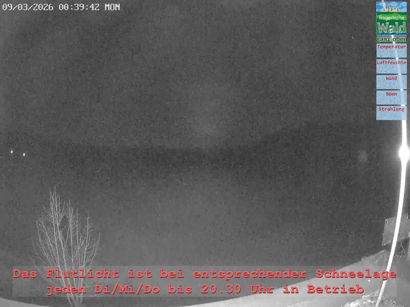 Archiv Foto Webcam Naturpark Oberer Bayerischer Wald - Infopunkt Althütte