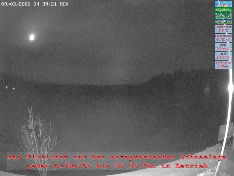 Archiv Foto Webcam Naturpark Oberer Bayerischer Wald - Infopunkt Althütte