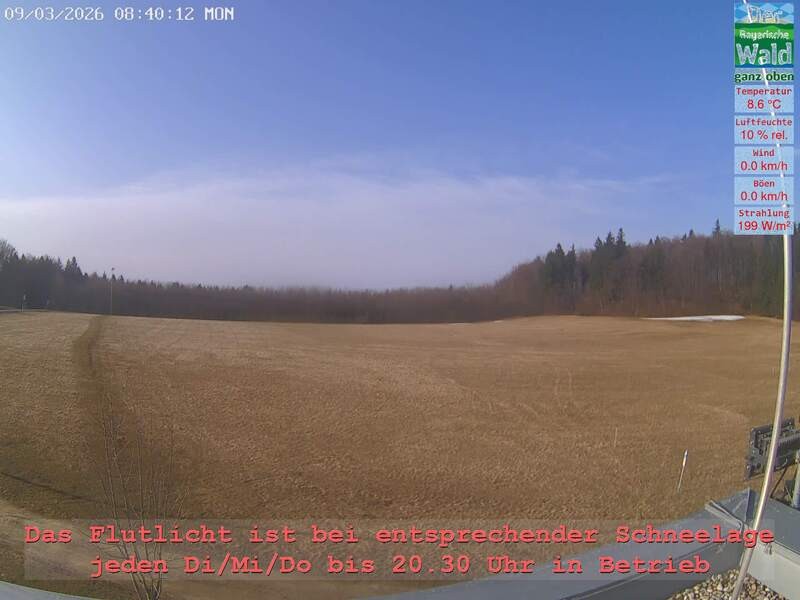 Archiv Foto Webcam Naturpark Oberer Bayerischer Wald - Infopunkt Althütte