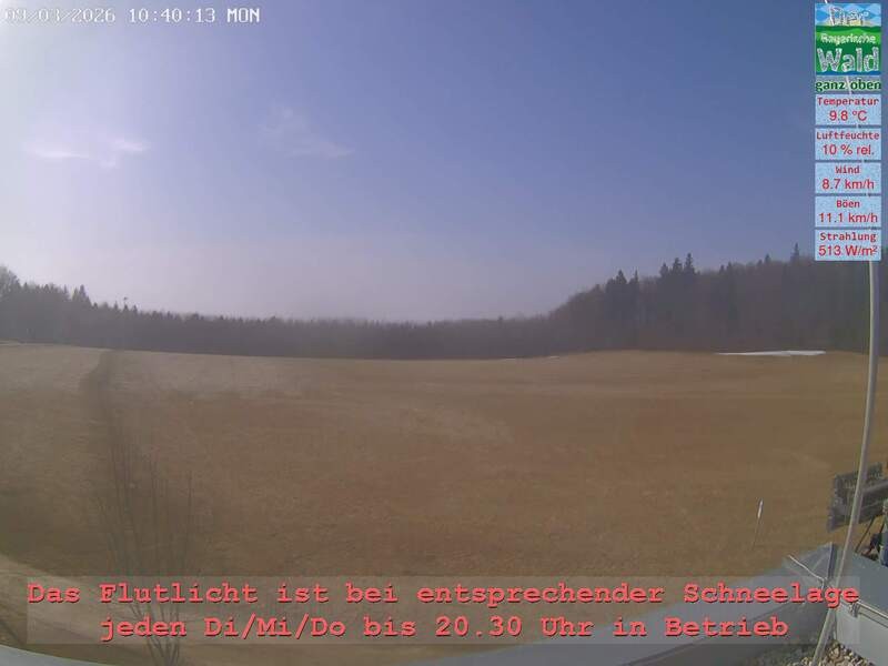 Archiv Foto Webcam Naturpark Oberer Bayerischer Wald - Infopunkt Althütte