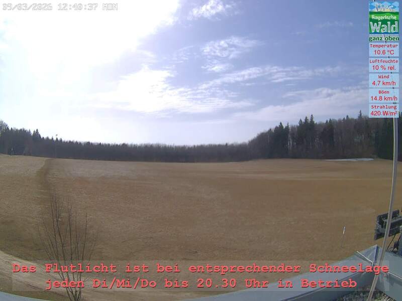 Archiv Foto Webcam Naturpark Oberer Bayerischer Wald - Infopunkt Althütte