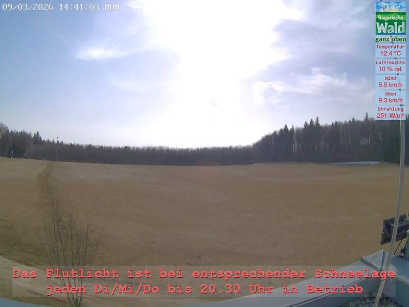 Archiv Foto Webcam Naturpark Oberer Bayerischer Wald - Infopunkt Althütte