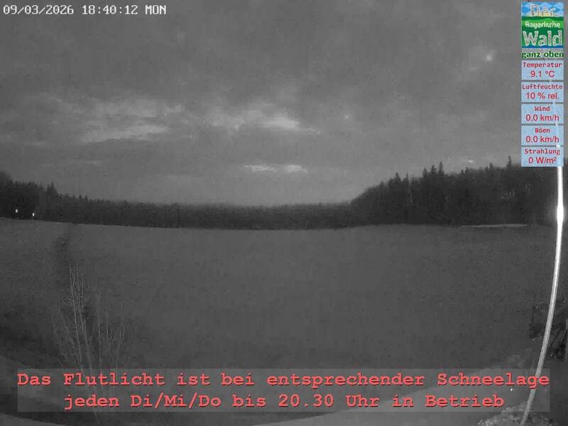 Archiv Foto Webcam Naturpark Oberer Bayerischer Wald - Infopunkt Althütte