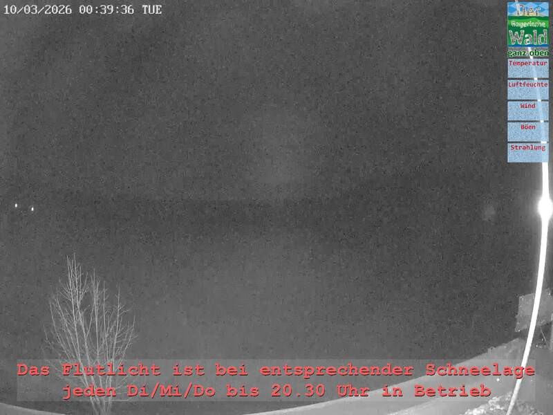 Archiv Foto Webcam Naturpark Oberer Bayerischer Wald - Infopunkt Althütte