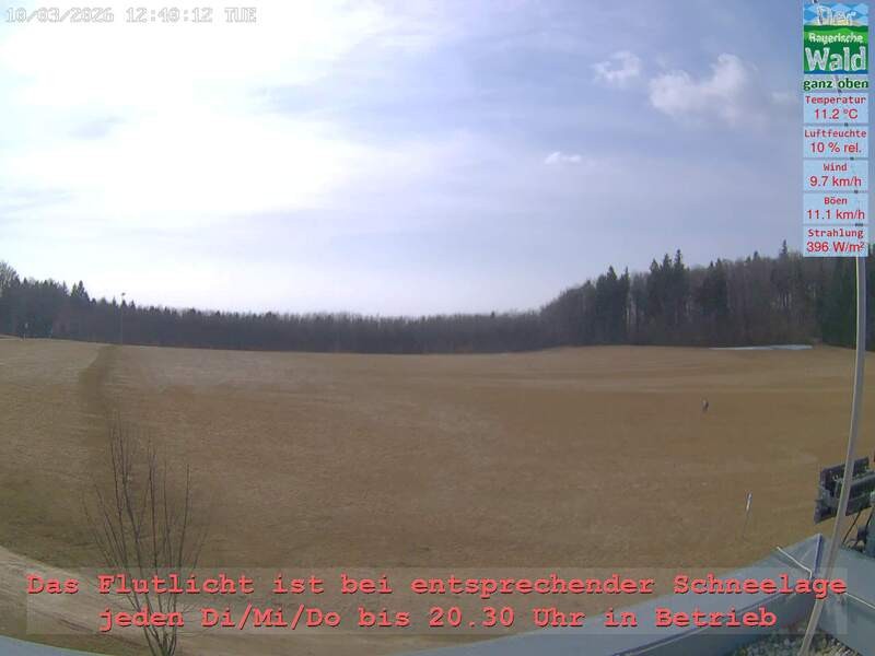 Archiv Foto Webcam Naturpark Oberer Bayerischer Wald - Infopunkt Althütte