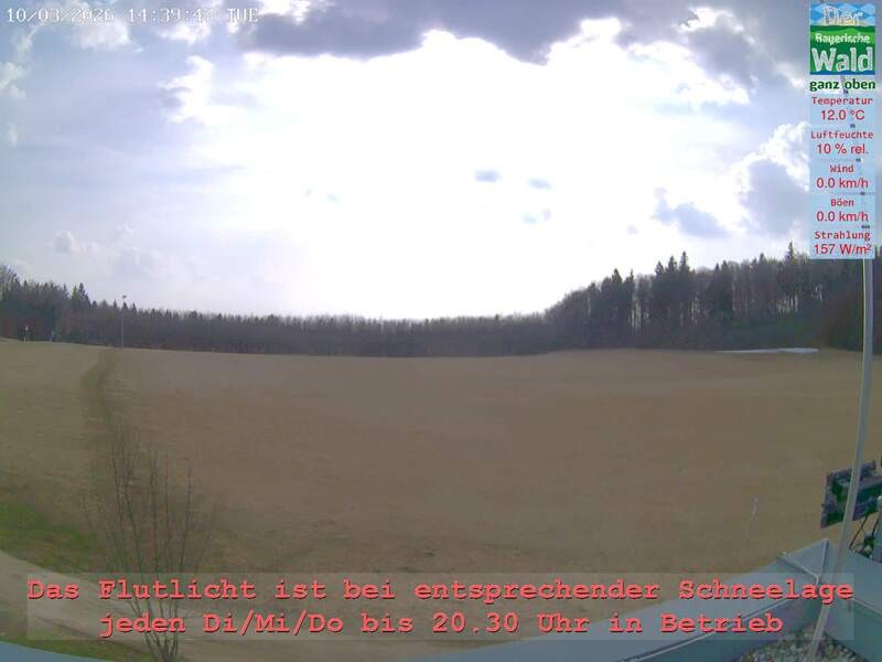 Archiv Foto Webcam Naturpark Oberer Bayerischer Wald - Infopunkt Althütte
