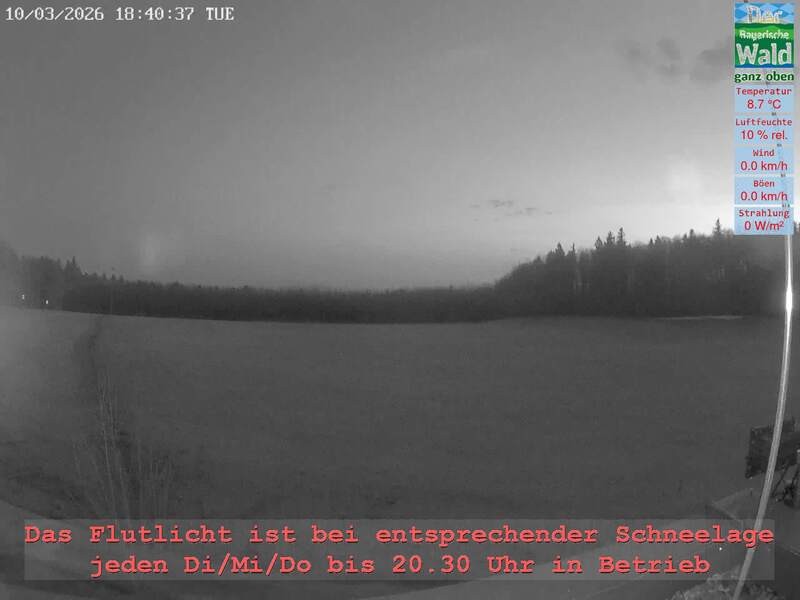 Archiv Foto Webcam Naturpark Oberer Bayerischer Wald - Infopunkt Althütte