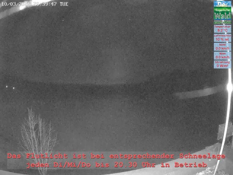 Archiv Foto Webcam Naturpark Oberer Bayerischer Wald - Infopunkt Althütte