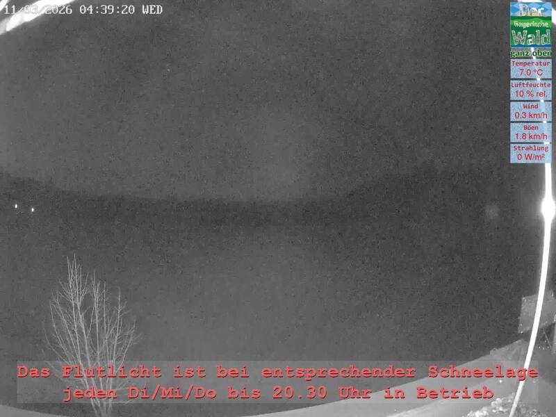 Archiv Foto Webcam Naturpark Oberer Bayerischer Wald - Infopunkt Althütte