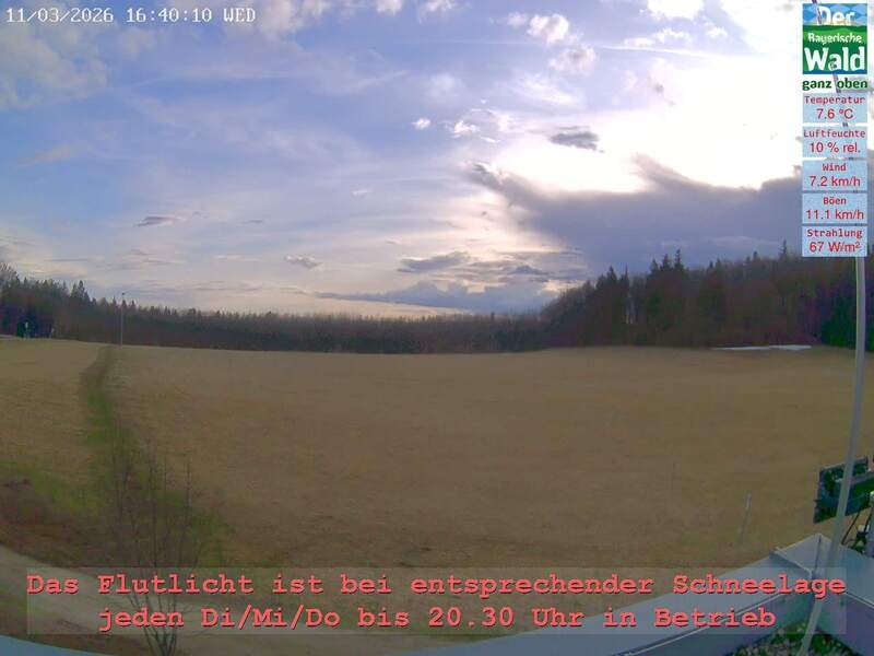 Archiv Foto Webcam Naturpark Oberer Bayerischer Wald - Infopunkt Althütte