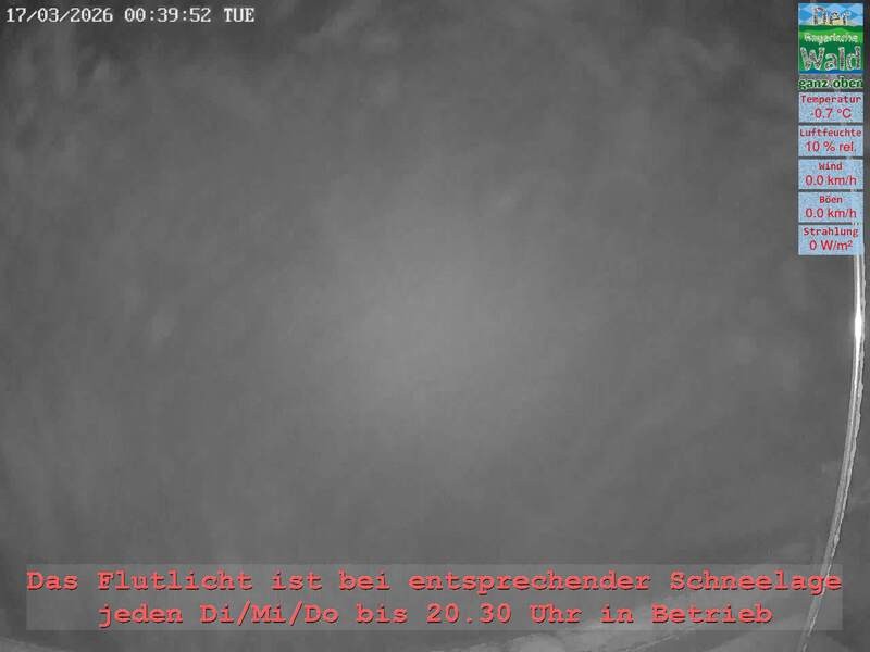 Archiv Foto Webcam Naturpark Oberer Bayerischer Wald - Infopunkt Althütte