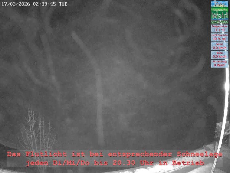 Archiv Foto Webcam Naturpark Oberer Bayerischer Wald - Infopunkt Althütte