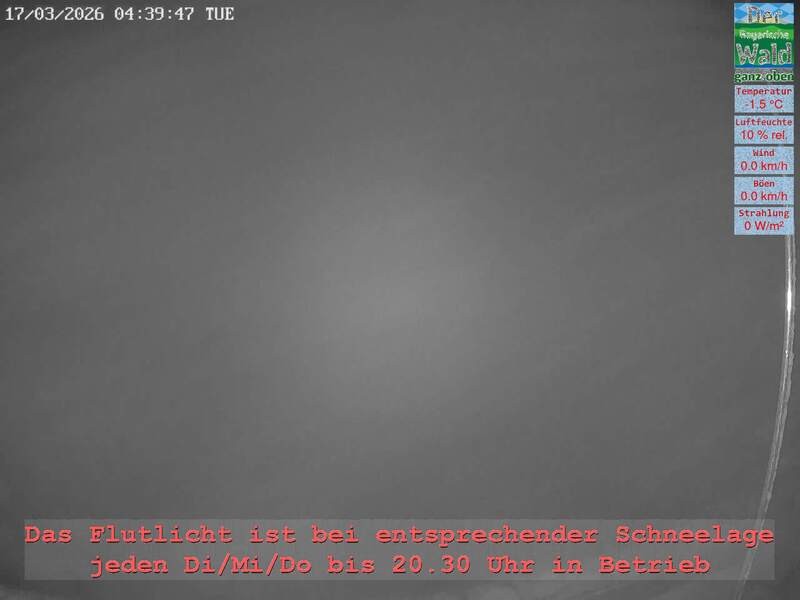 Archiv Foto Webcam Naturpark Oberer Bayerischer Wald - Infopunkt Althütte