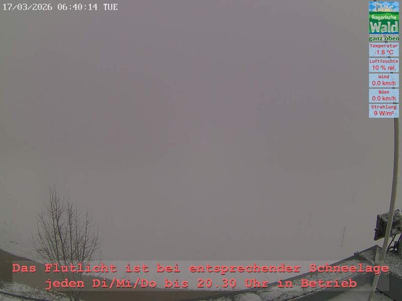 Archiv Foto Webcam Naturpark Oberer Bayerischer Wald - Infopunkt Althütte