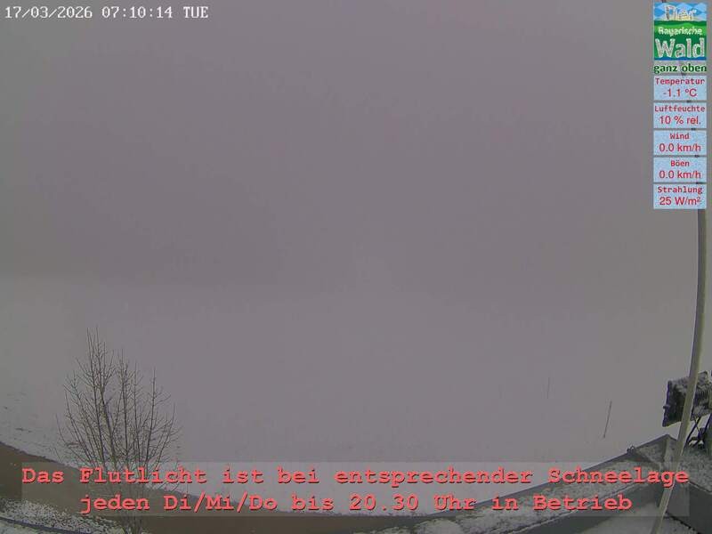 Archiv Foto Webcam Naturpark Oberer Bayerischer Wald - Infopunkt Althütte