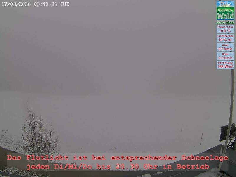 Archiv Foto Webcam Naturpark Oberer Bayerischer Wald - Infopunkt Althütte