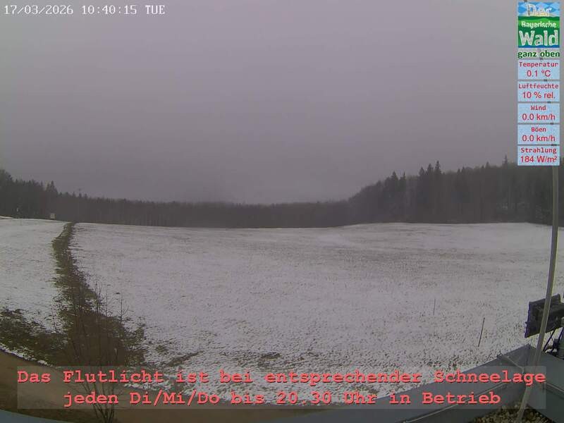 Archiv Foto Webcam Naturpark Oberer Bayerischer Wald - Infopunkt Althütte