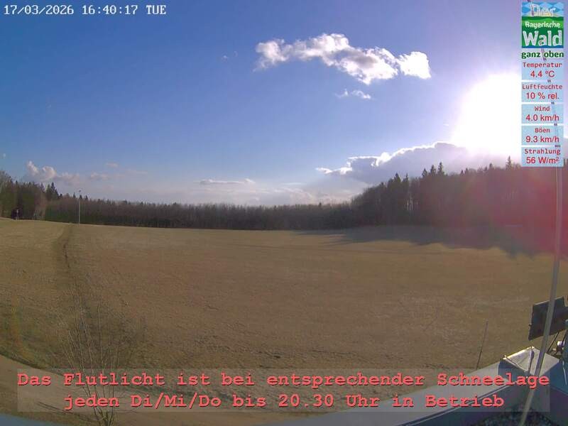 Archiv Foto Webcam Naturpark Oberer Bayerischer Wald - Infopunkt Althütte