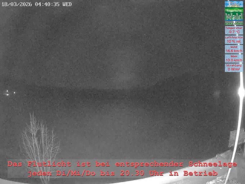 Archiv Foto Webcam Naturpark Oberer Bayerischer Wald - Infopunkt Althütte