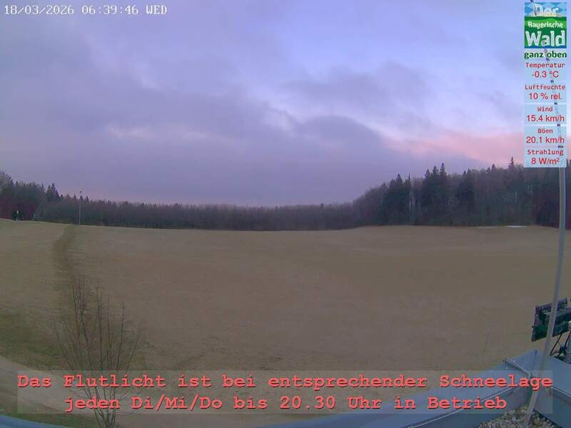 Archiv Foto Webcam Naturpark Oberer Bayerischer Wald - Infopunkt Althütte