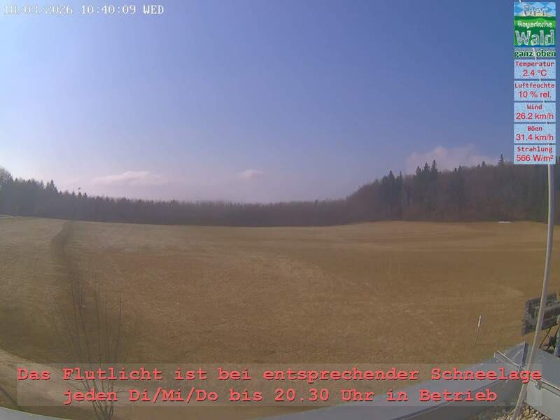 Archiv Foto Webcam Naturpark Oberer Bayerischer Wald - Infopunkt Althütte
