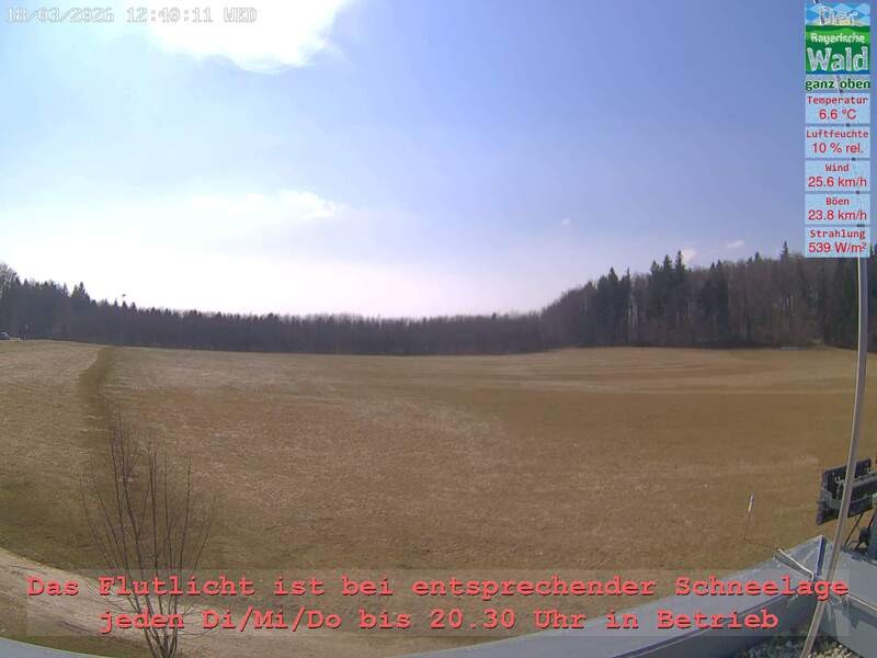 Archiv Foto Webcam Naturpark Oberer Bayerischer Wald - Infopunkt Althütte