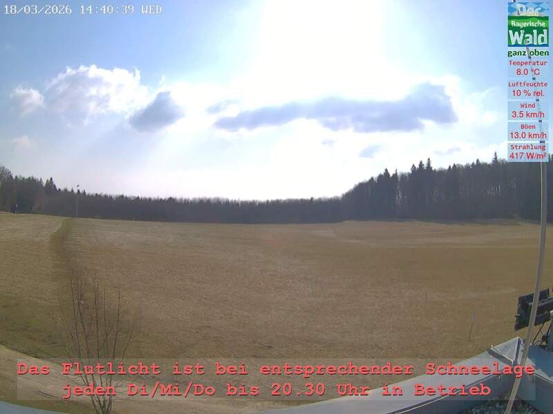 Archiv Foto Webcam Naturpark Oberer Bayerischer Wald - Infopunkt Althütte