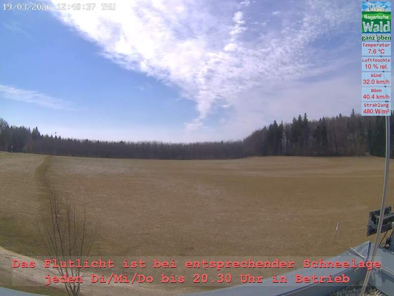 Archiv Foto Webcam Naturpark Oberer Bayerischer Wald - Infopunkt Althütte