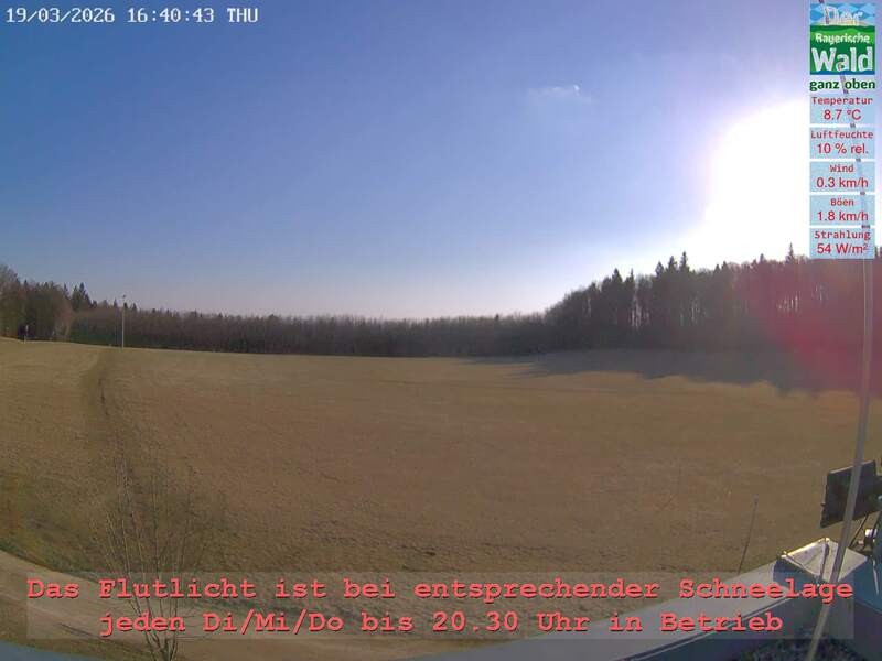 Archiv Foto Webcam Naturpark Oberer Bayerischer Wald - Infopunkt Althütte