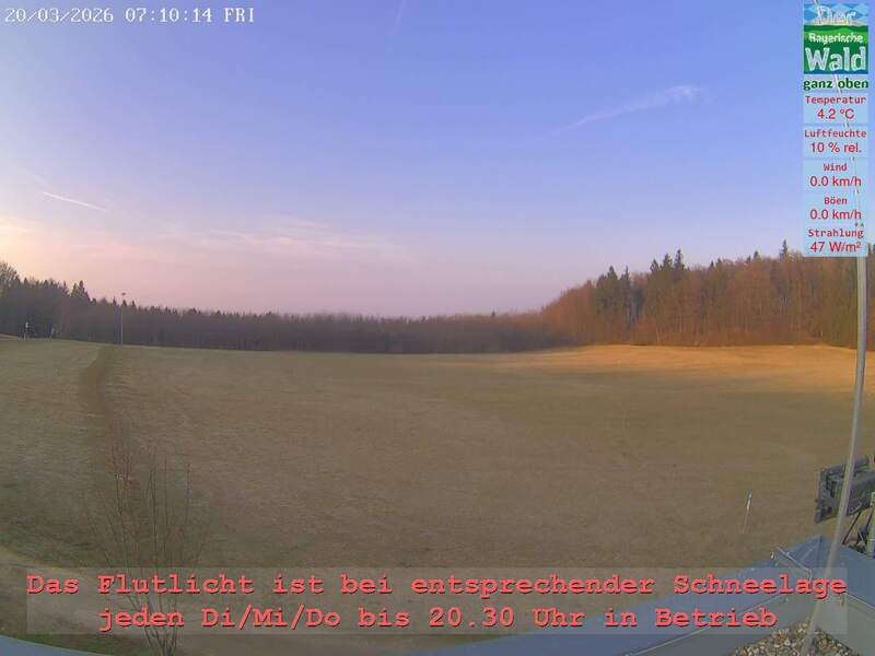 Archiv Foto Webcam Naturpark Oberer Bayerischer Wald - Infopunkt Althütte