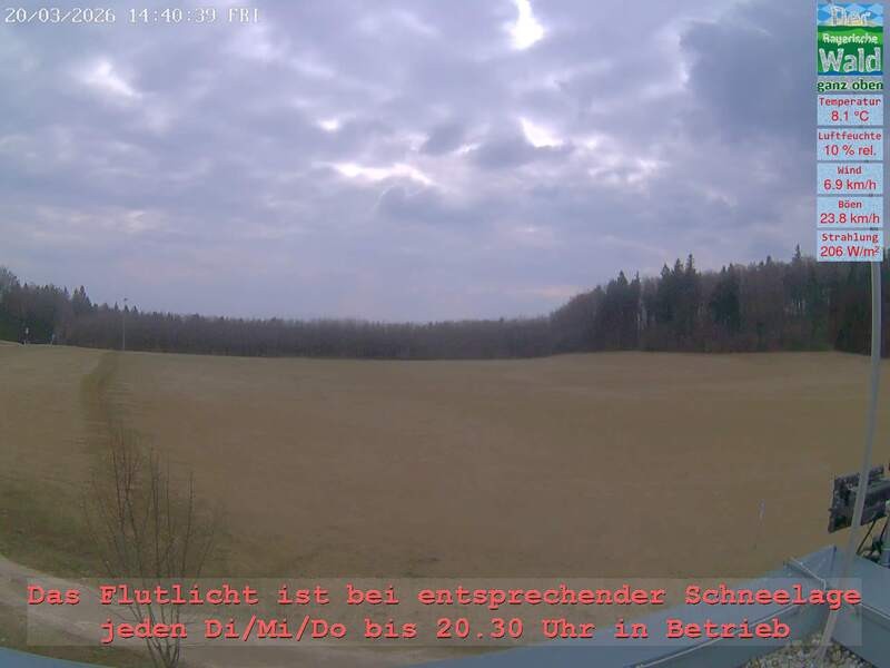 Archiv Foto Webcam Naturpark Oberer Bayerischer Wald - Infopunkt Althütte