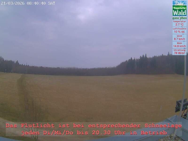 Archiv Foto Webcam Naturpark Oberer Bayerischer Wald - Infopunkt Althütte