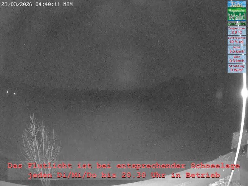 Archiv Foto Webcam Naturpark Oberer Bayerischer Wald - Infopunkt Althütte