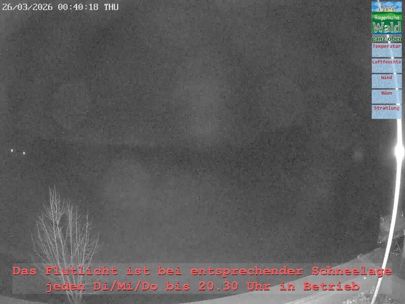 Archiv Foto Webcam Naturpark Oberer Bayerischer Wald - Infopunkt Althütte