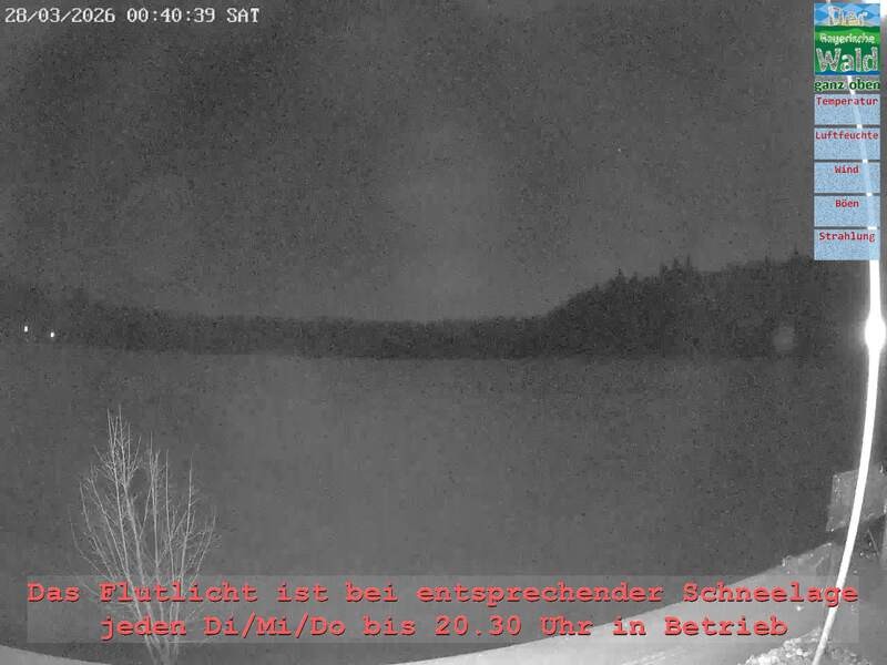 Archiv Foto Webcam Naturpark Oberer Bayerischer Wald - Infopunkt Althütte