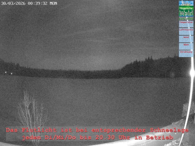 Archiv Foto Webcam Naturpark Oberer Bayerischer Wald - Infopunkt Althütte