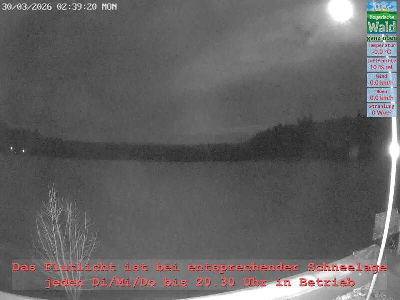 Archiv Foto Webcam Naturpark Oberer Bayerischer Wald - Infopunkt Althütte